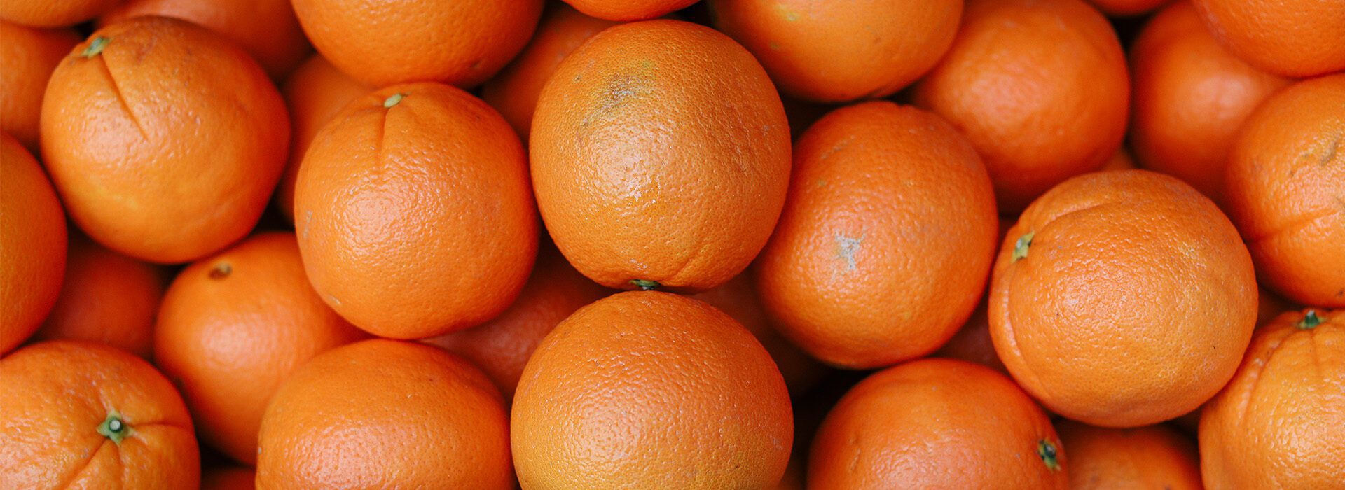 School Breakfast And Lunch Programs We Got You Illinois